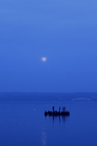 a full moon rises over a body of water